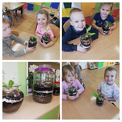 Grafika #14: SensoSmyki