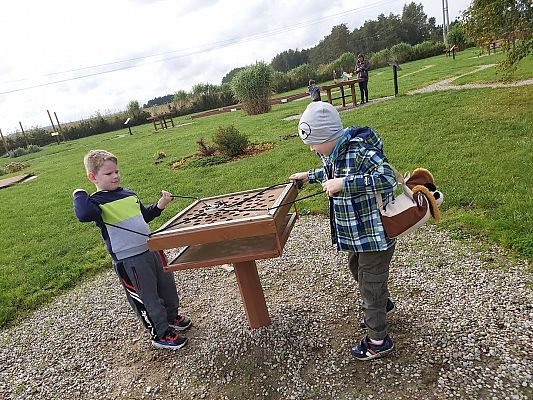 Grafika #3: Wycieczka do Łeby - Mróweczki i Jeżyki