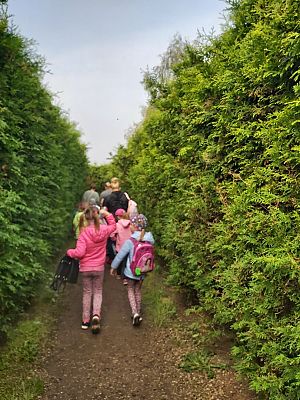 Grafika #17: Wycieczka do Łeby - Mróweczki i Jeżyki