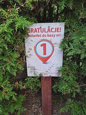 Grafika #14: Wycieczka do Łeby - Mróweczki i Jeżyki