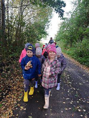 Grafika #11: Dzień Pieczonego Ziemniaka