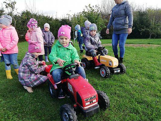 Grafika #18: Dzień Pieczonego Ziemniaka