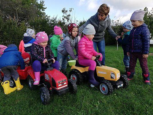 Grafika #20: Dzień Pieczonego Ziemniaka