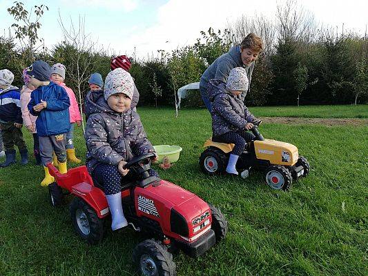 Grafika #15: Dzień Pieczonego Ziemniaka