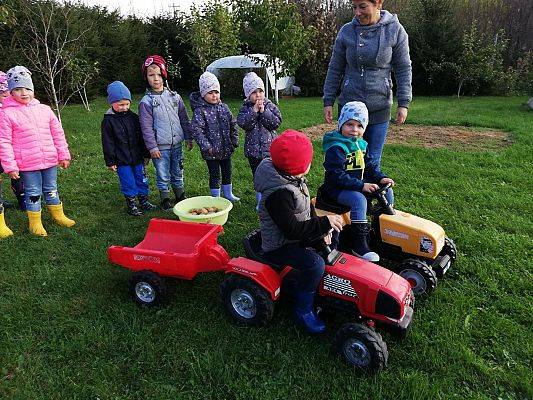 Grafika #16: Dzień Pieczonego Ziemniaka