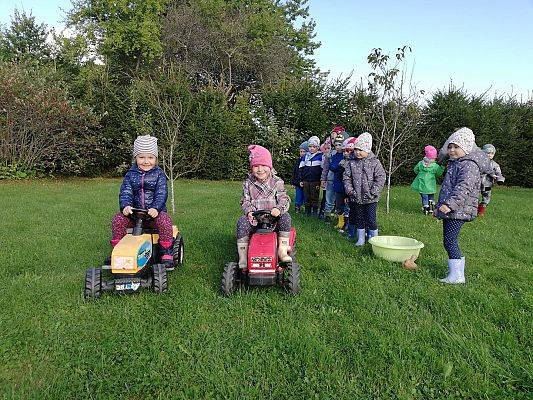 Grafika #6: Dzień Pieczonego Ziemniaka