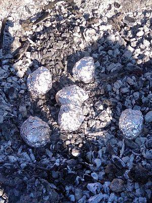 Grafika #1: Dzień Pieczonego Ziemniaka