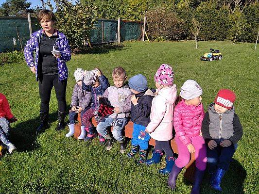 Grafika #14: Dzień Pieczonego Ziemniaka