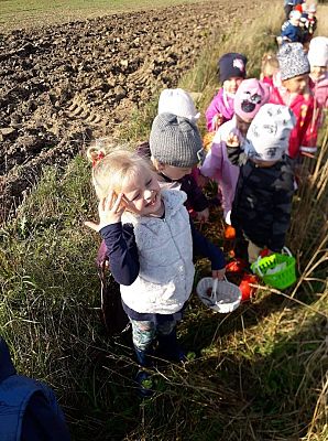 Grafika #7: Pierwszy Dzień Jesieni. Wielkie grzybobranie Lisków i Sówek