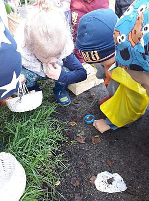 Grafika #9: Pierwszy Dzień Jesieni. Wielkie grzybobranie Lisków i Sówek