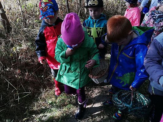 Grafika #0: Pierwszy Dzień Jesieni. Wielkie grzybobranie Lisków i Sówek