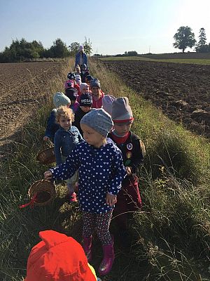 Grafika #18: Pierwszy Dzień Jesieni. Wielkie grzybobranie Lisków i Sówek