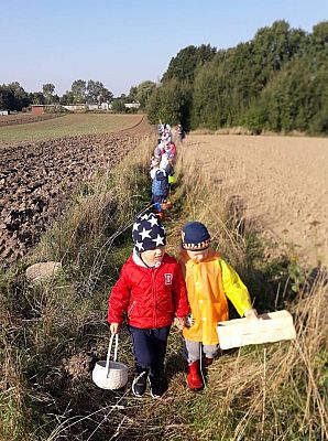 Grafika #10: Pierwszy Dzień Jesieni. Wielkie grzybobranie Lisków i Sówek