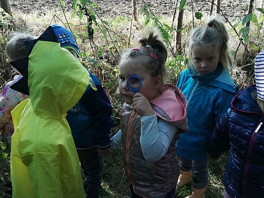 Grafika #1: Pierwszy Dzień Jesieni. Wielkie grzybobranie Lisków i Sówek