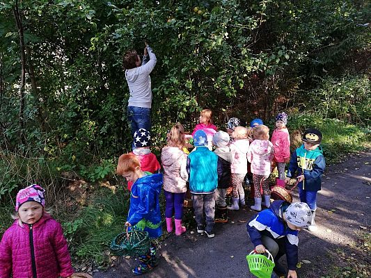 Grafika #5: Pierwszy Dzień Jesieni. Wielkie grzybobranie Lisków i Sówek