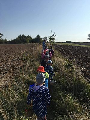 Grafika #17: Pierwszy Dzień Jesieni. Wielkie grzybobranie Lisków i Sówek