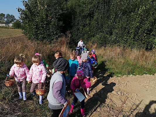 Grafika #4: Pierwszy Dzień Jesieni. Wielkie grzybobranie Lisków i Sówek