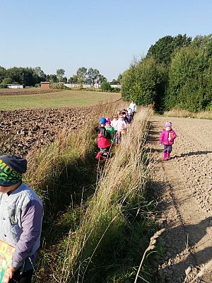 Grafika #3: Pierwszy Dzień Jesieni. Wielkie grzybobranie Lisków i Sówek