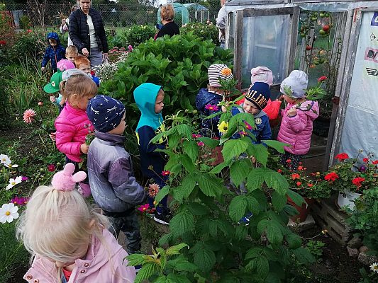 Grafika #18: Jesienna wycieczka do ogrodu warzywnego SÓWKI i LISKI