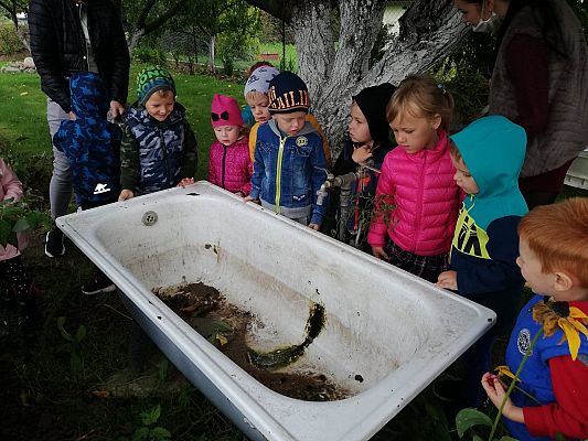 Grafika #10: Jesienna wycieczka do ogrodu warzywnego SÓWKI i LISKI