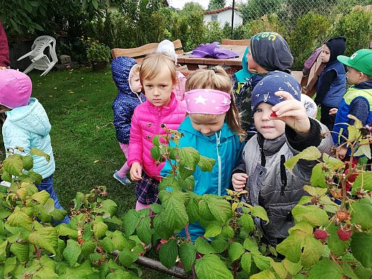 Grafika #1: Jesienna wycieczka do ogrodu warzywnego SÓWKI i LISKI