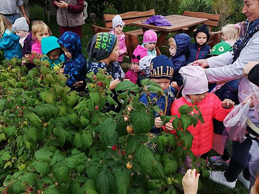 Grafika #16: Jesienna wycieczka do ogrodu warzywnego SÓWKI i LISKI