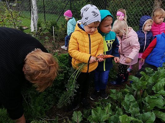 Grafika #6: Jesienna wycieczka do ogrodu warzywnego SÓWKI i LISKI