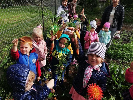 Grafika #7: Jesienna wycieczka do ogrodu warzywnego SÓWKI i LISKI
