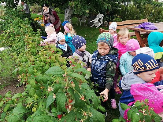 Grafika #19: Jesienna wycieczka do ogrodu warzywnego SÓWKI i LISKI