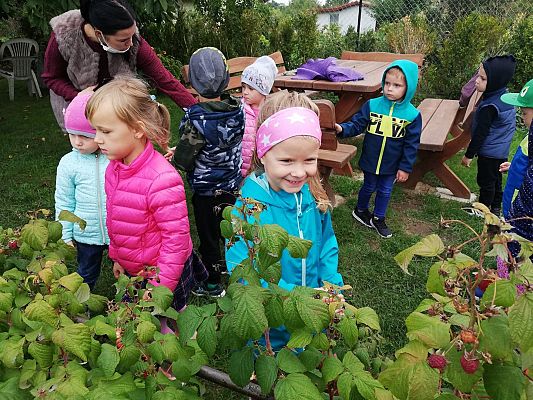 Grafika #0: Jesienna wycieczka do ogrodu warzywnego SÓWKI i LISKI