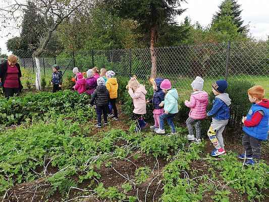 Grafika #9: Jesienna wycieczka do ogrodu warzywnego SÓWKI i LISKI