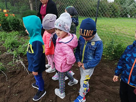 Grafika #15: Jesienna wycieczka do ogrodu warzywnego SÓWKI i LISKI