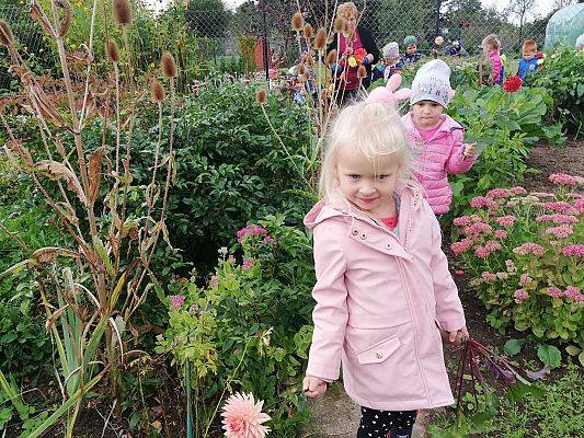 Grafika #17: Jesienna wycieczka do ogrodu warzywnego SÓWKI i LISKI