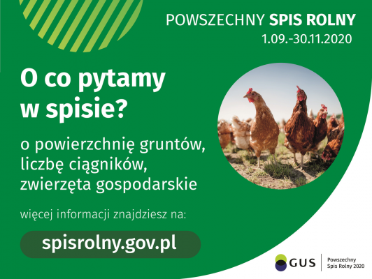 Grafika #3: Powszechny Spis Rolny 2020