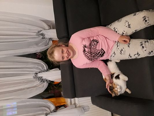 Grafika #6: Nauka zdalna w starszych klasach