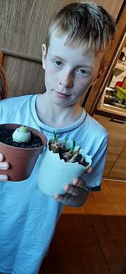 Grafika #24: NAUCZANIE ZDALNE KLASA II