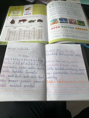 Grafika #15: Zdalne nauczanie w klasie 1