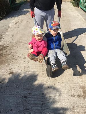 Grafika #29: Praca zdalna u Pingwinków