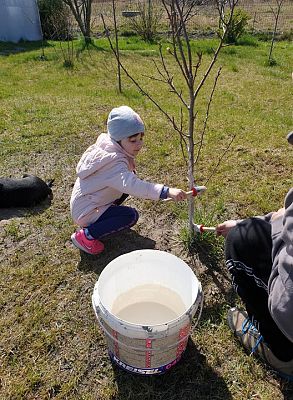 Grafika #23: Praca zdalna u Pingwinków