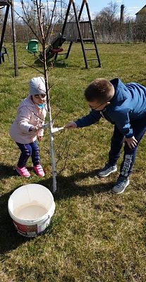 Grafika #32: Praca zdalna u Pingwinków