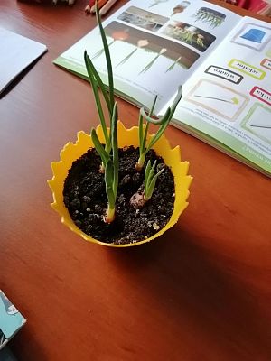 Grafika #4: Prace Leśnych Skrzatów