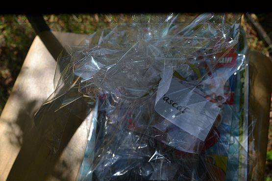 Grafika #5: Pożegnanie "Leśnych Skrzatów"