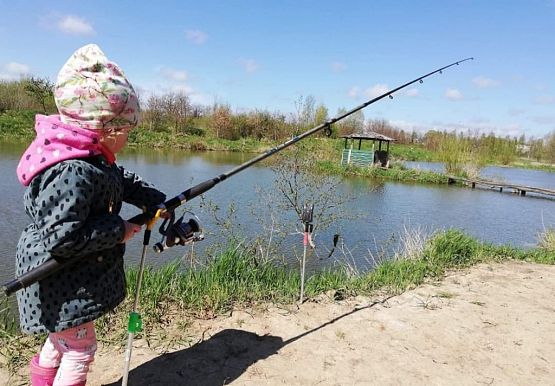 Grafika #22: Grupa "Pingwinków" dzielnie pracuje!