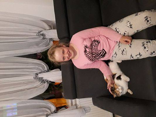 Grafika #6: Nauka zdalna w starszych klasach