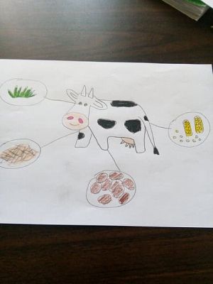 Grafika #3: Kolejny tydzień pracy zdalnej Leśnych Skrzatów