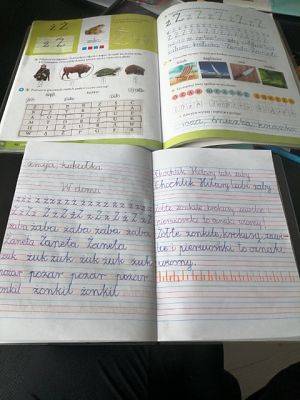 Grafika #15: Zdalne nauczanie w klasie 1