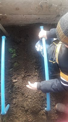 Grafika #1: Prace Leśnych Skrzatów