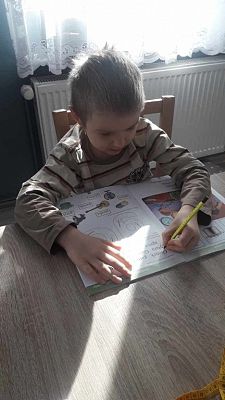 Grafika #12: Prace Leśnych Skrzatów