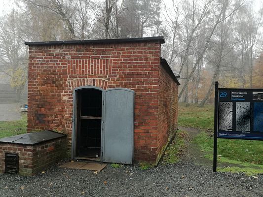 Grafika #5: Szkoła w Łebieniu wciąż pamięta-klasy siódma i ósma z wizytą w Muzeum Stutthof w Sztutowie
