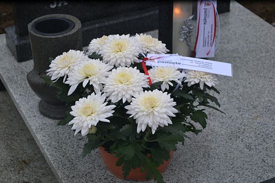 Grafika #53: Szkoła pamięta